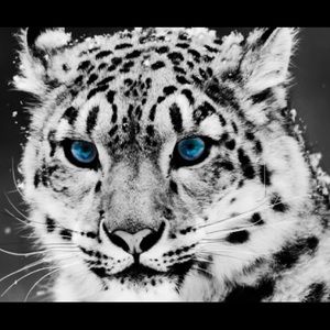 Meet your Posher, Gigi